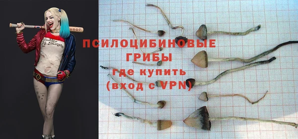 МДМА Алексеевка
